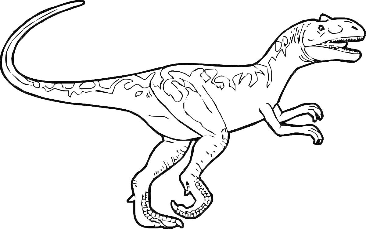 Раскраска Аллозавр динозавр на двух ногах с поднятым хвостом