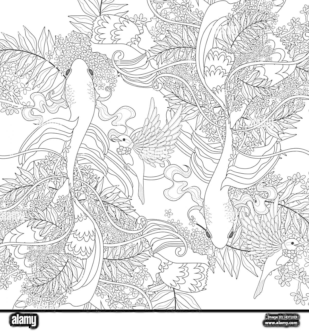 Раскраска Рыбы кои, листья, водные растения и узорчатый фон