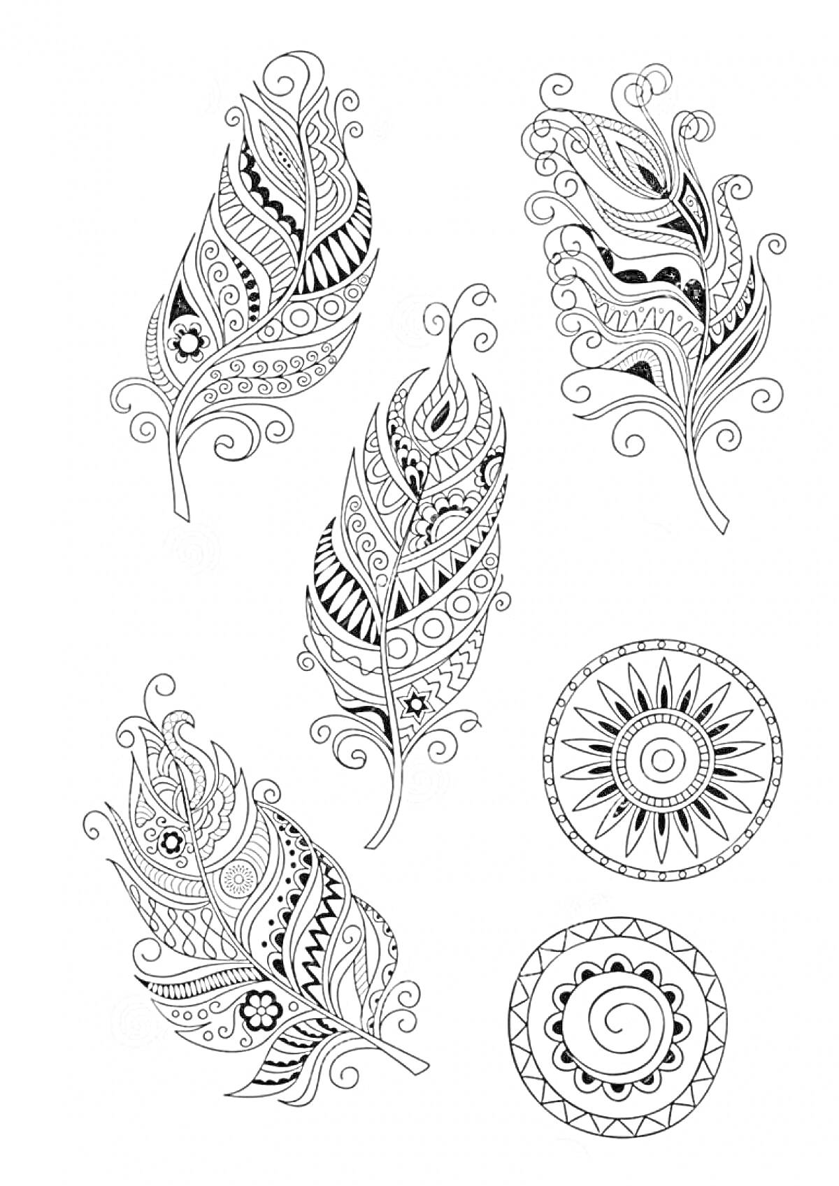 Раскраска Дудлинг с перьями и круглыми орнаментами