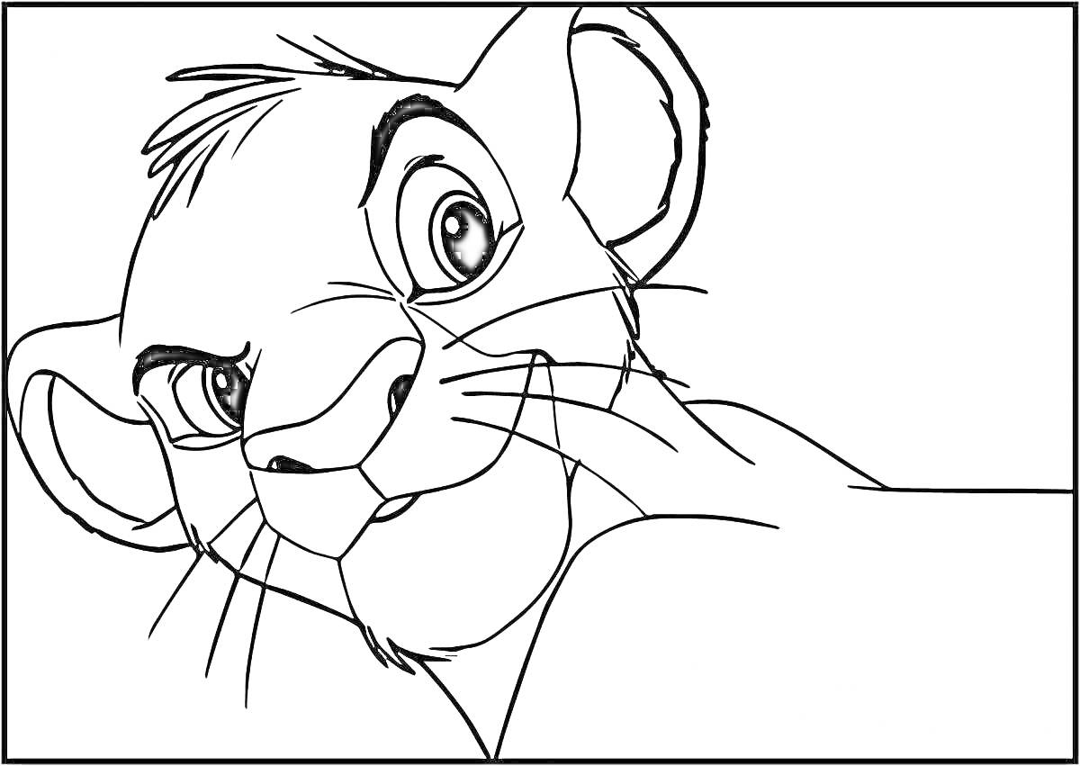 Раскраска Лев с хитрым взглядом из фильма 