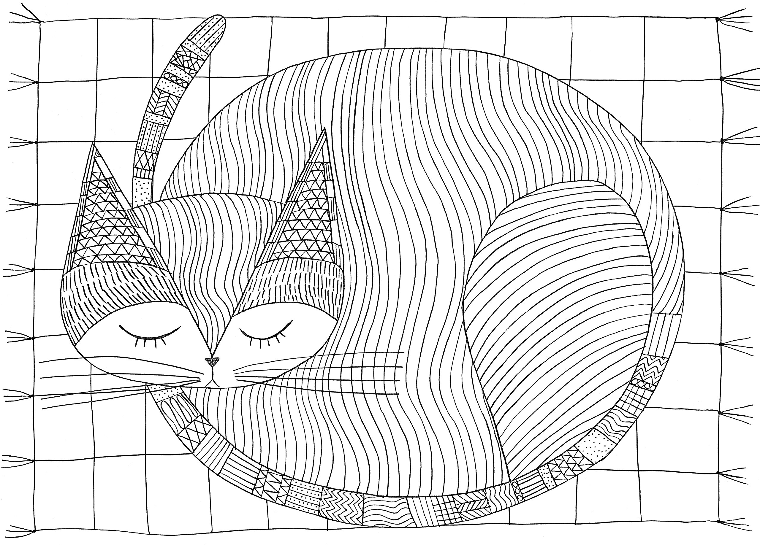 Раскраска Спящий кот на клетчатом фоне