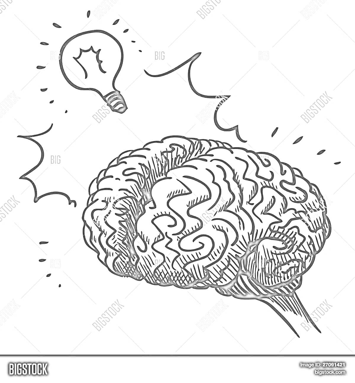 На раскраске изображено: Мозг, Мысли, Для детей, Анатомия, Интеллект, Идея