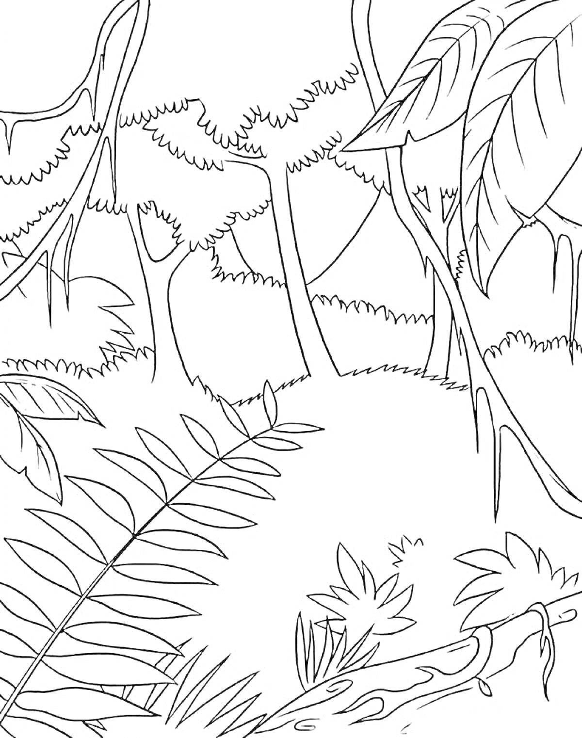 На раскраске изображено: Тропический лес, Деревья, Лианы, Природа, Джунгли, Листва, Растительность