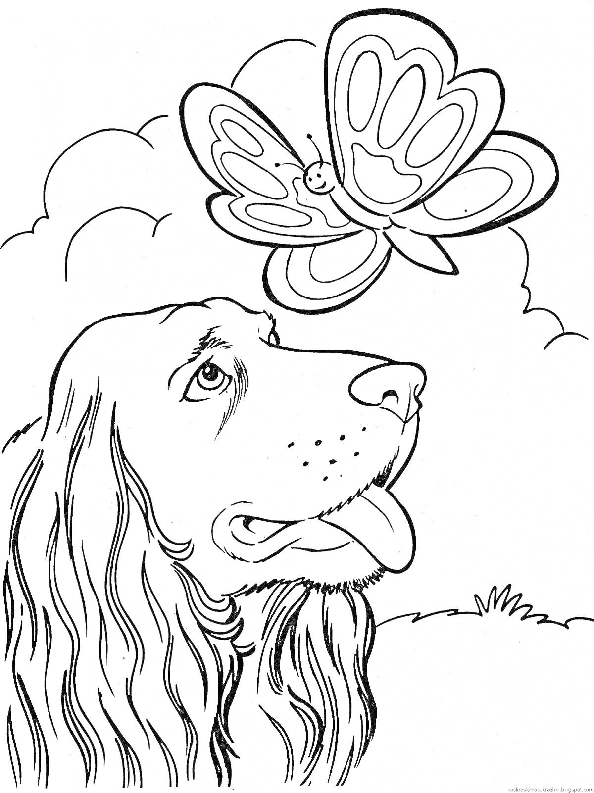На раскраске изображено: Собака, Бабочка, Облака, Животные, Для детей, Для девочек, 12 лет