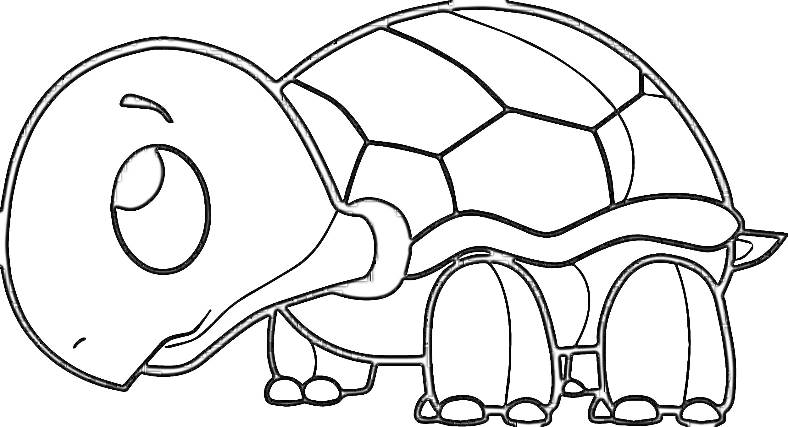 На раскраске изображено: Черепаха, Панцирь, Большие глаза