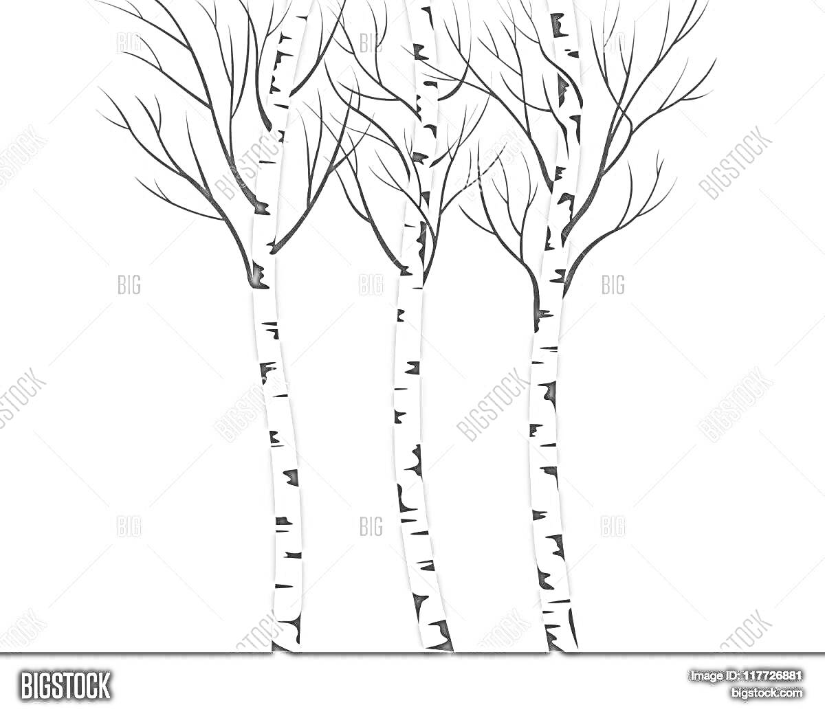 Раскраска Три березы зимой без листвы на сером фоне