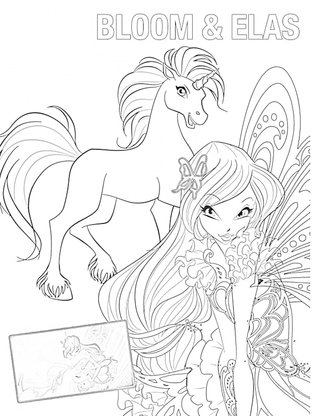 Раскраска Блум и Элас - фея с крыльями и лошадь