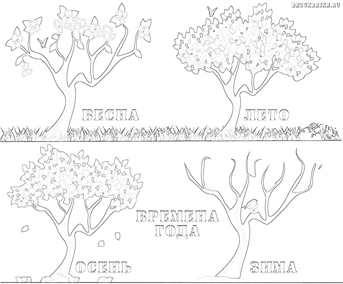 Раскраска Времена года с изображением деревьев в разные сезоны: весна с распустившимися листьями и цветами, лето с густой листвой и бабочками, осень с падающими листьями, зима с голыми ветками и снегопадом