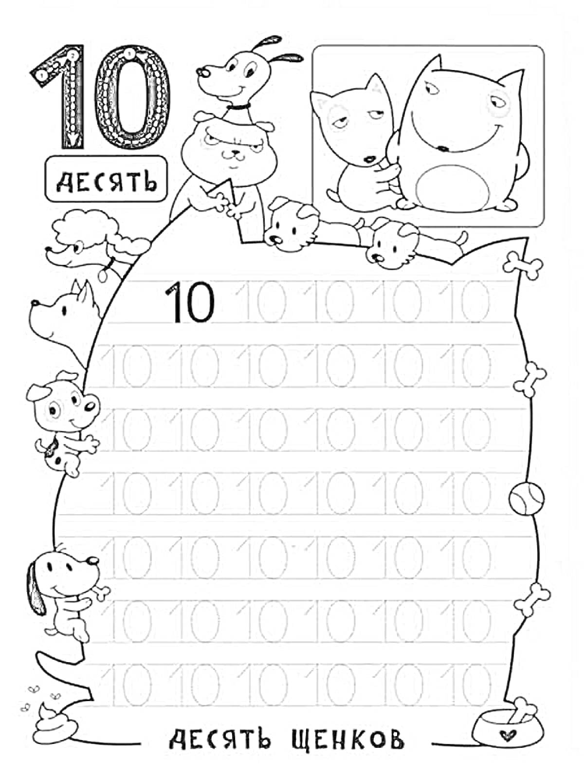 Пропись цифры 10 с изображением десяти щенков