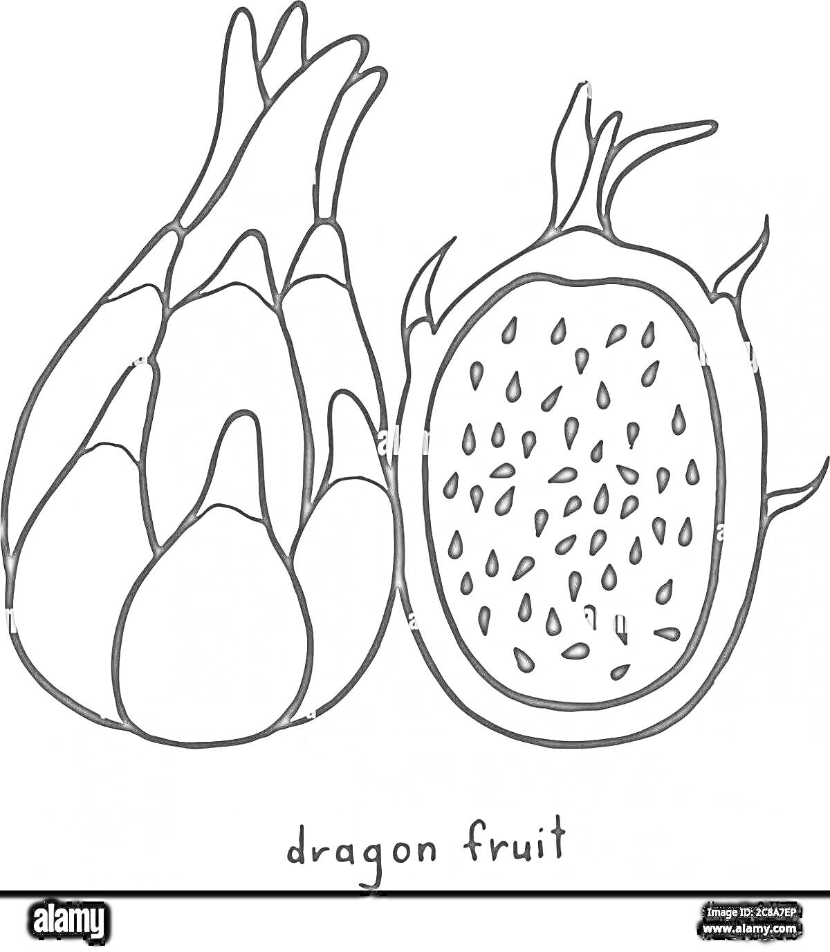 Раскраска Два драконьих фрукта, один целый, другой разрезанный пополам