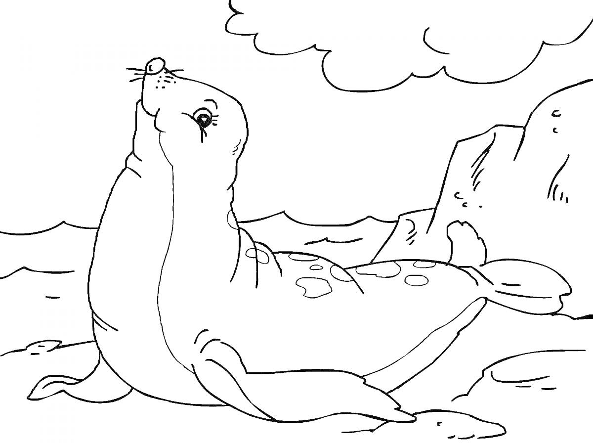 На раскраске изображено: Тюлень, Берег, Скалы, Облака, Природа, Север, Животные, 3-4 года