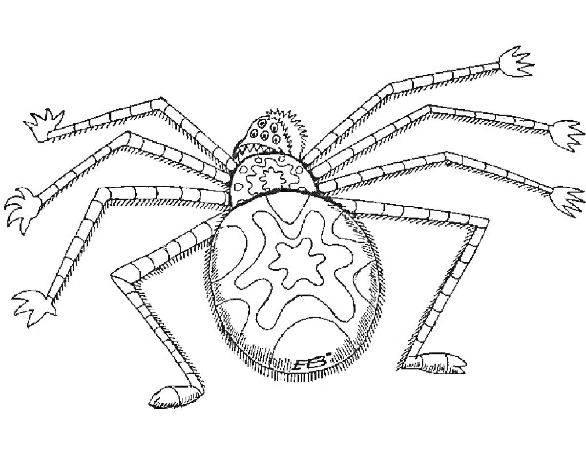 Раскраска Томас Экзе Паук с узорами на теле и восьмью лапами