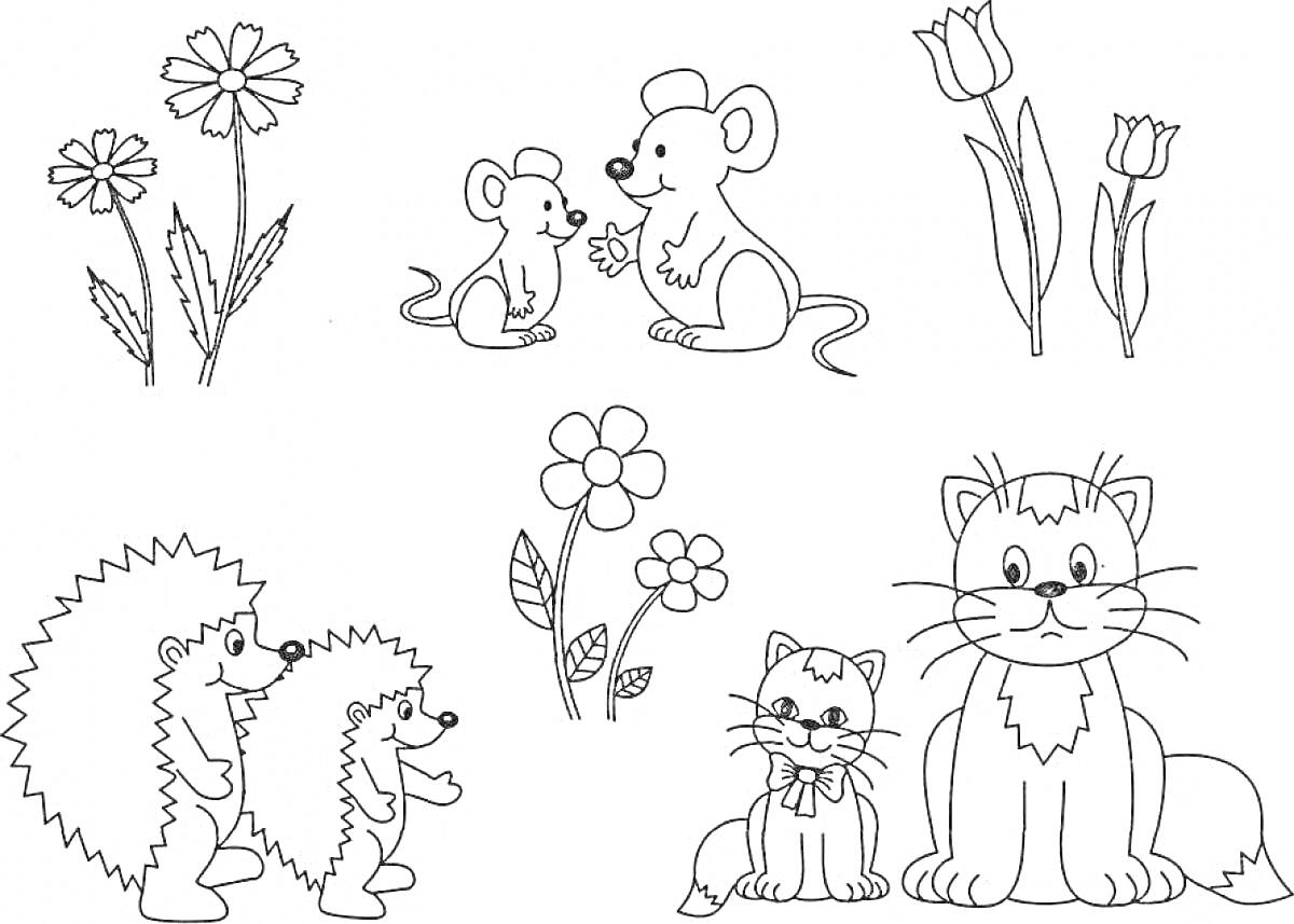 Раскраска Цветы, мыши, тюльпаны, ёжики, цветок, котята