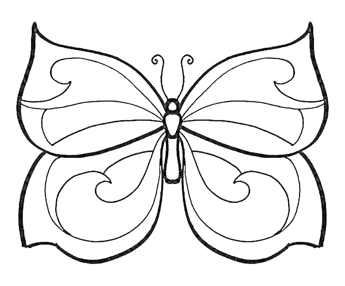 Раскраска Бабочка с крупными крыльями и узорами