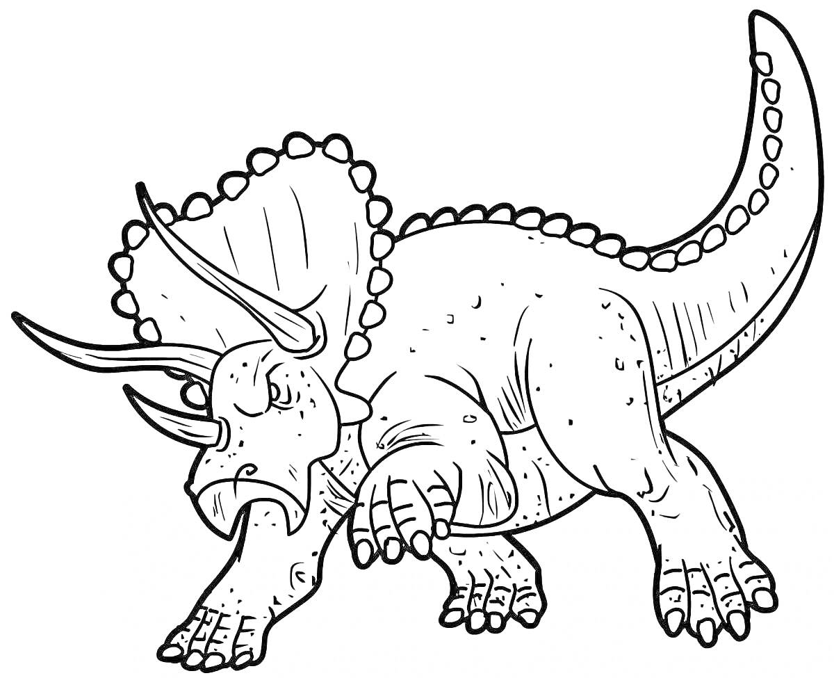 На раскраске изображено: Динозавр, Трицератопс, Для мальчиков, Рога, Щит, Ноги, Древние животные