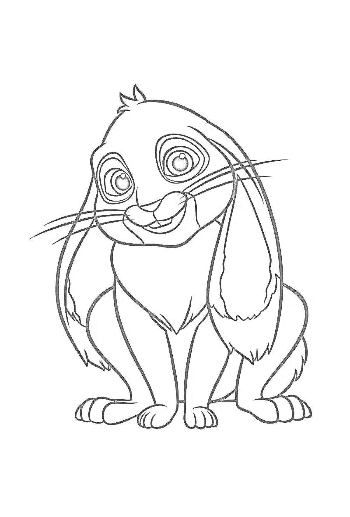 На раскраске изображено: Кролик, Длинные уши, Большие глаза, Уши