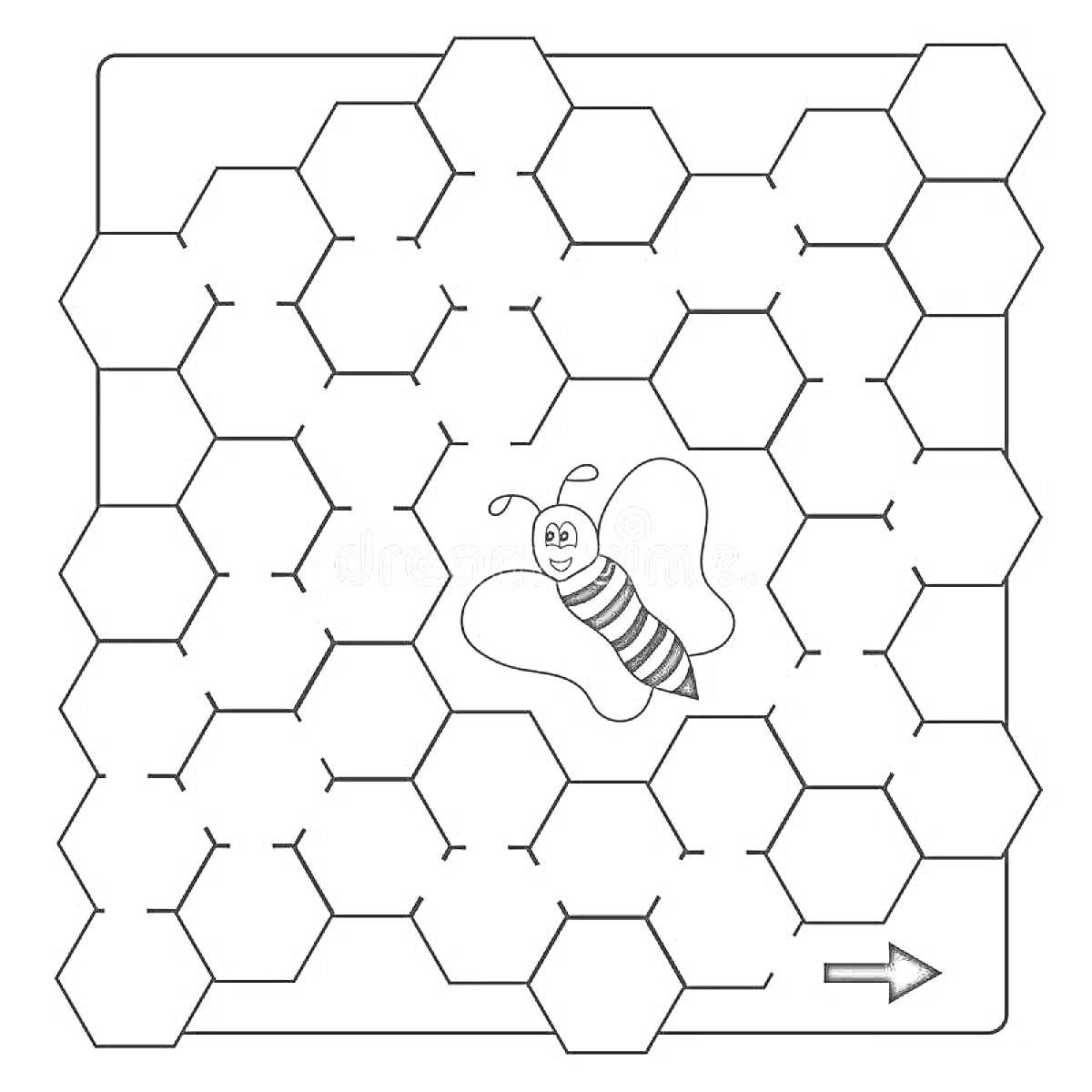 Раскраска Соты с пчёлкой и стрелкой