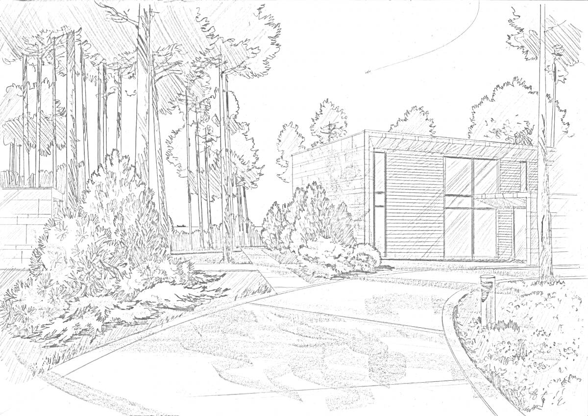 Раскраска Современный ландшафтный дизайн с домом, деревьями и садовыми кустарниками