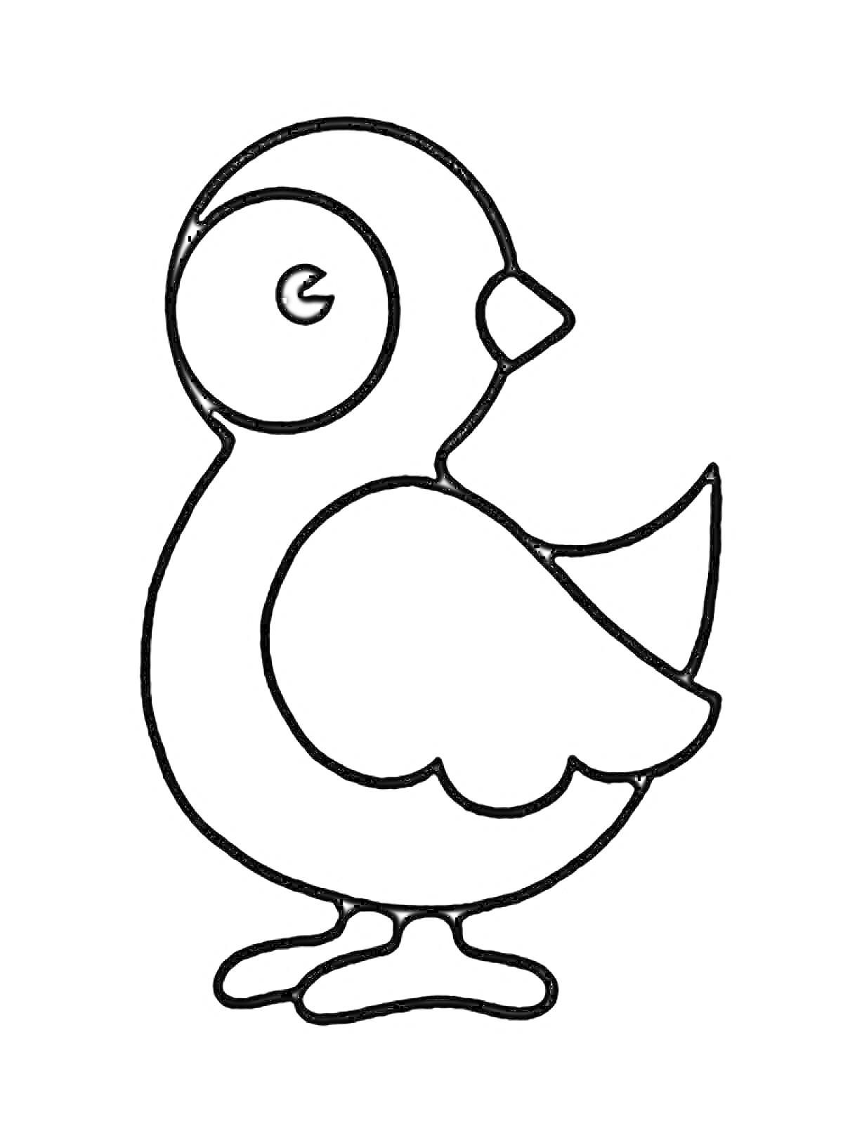 На раскраске изображено: Птица, Для детей, Земля