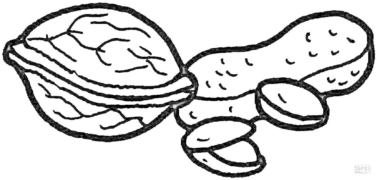 Грецкий орех и арахис с очищенными ядрами