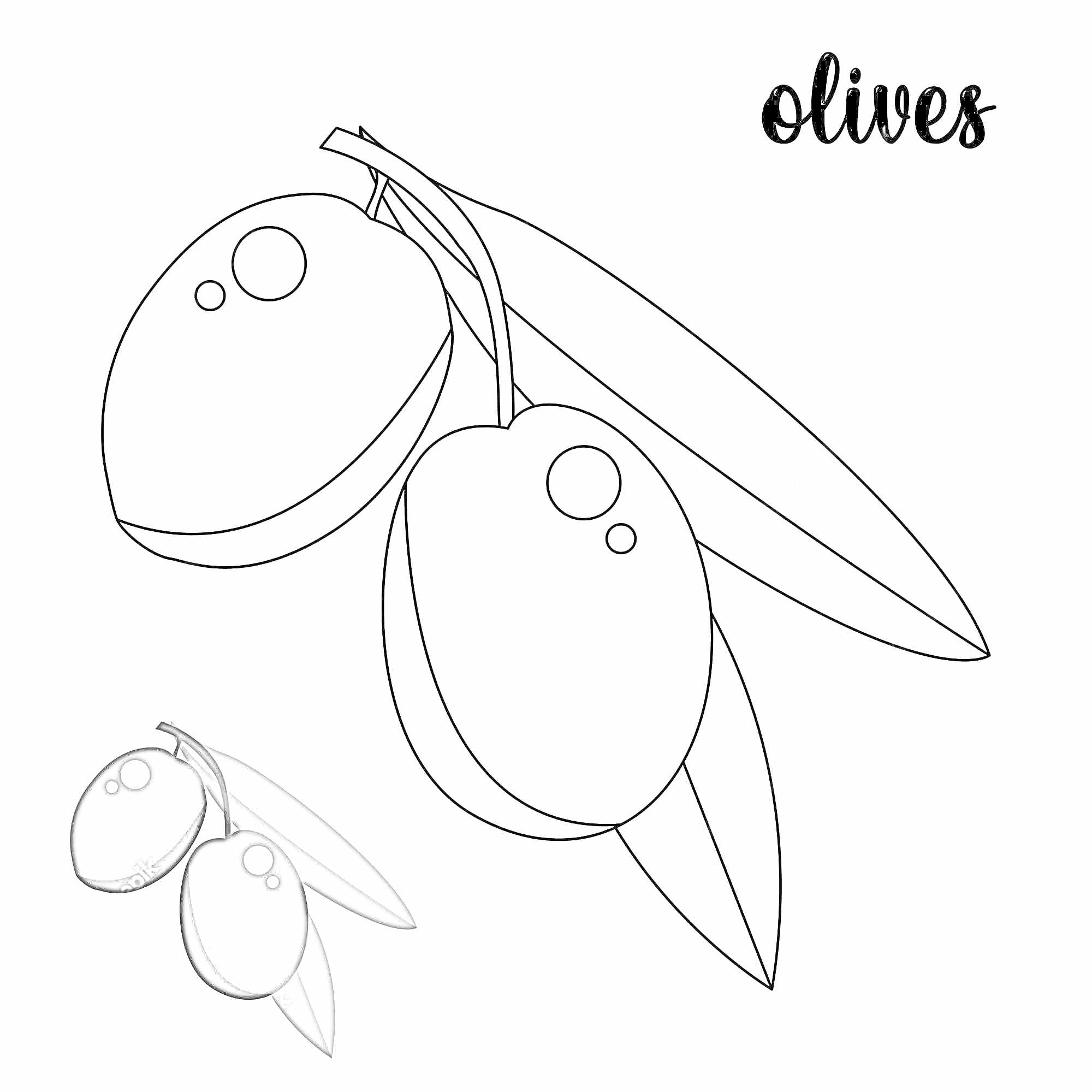 На раскраске изображено: Оливки, Ветка, Листья, Плоды, Еда