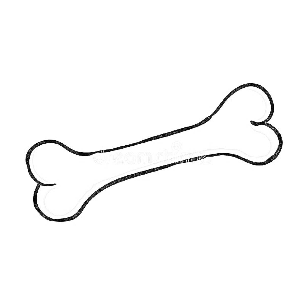 На раскраске изображено: 