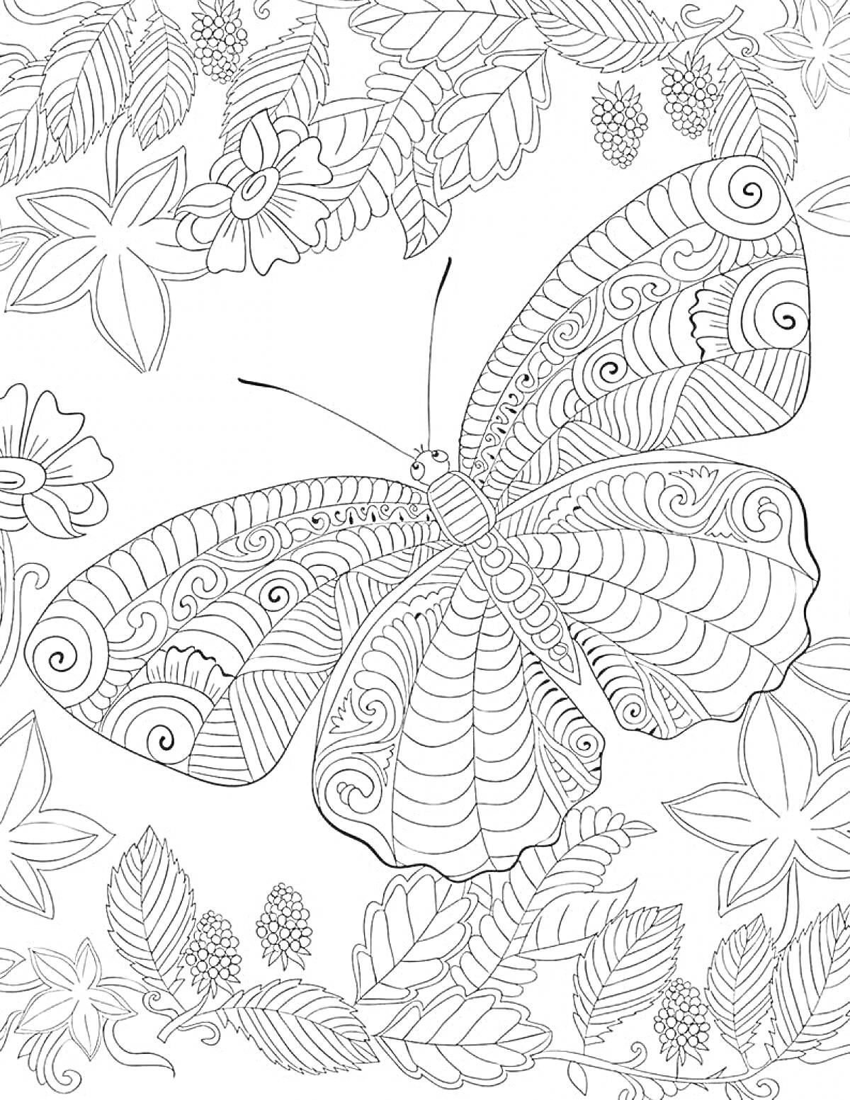 Раскраска Бабочка с узором, окруженная цветами и листьями