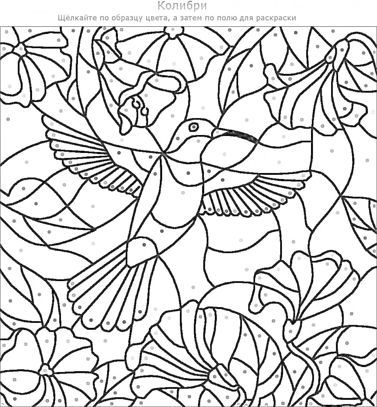 Раскраска Колибри среди цветов