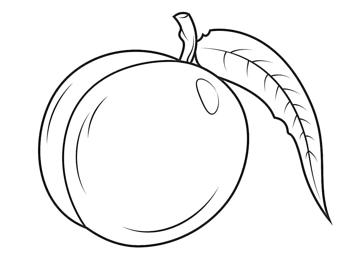 Раскраска Персик с листом