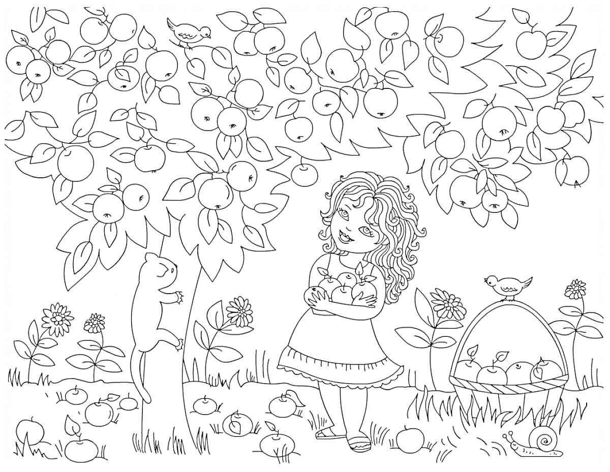 На раскраске изображено: Сад, Яблоня, Девочка, Кот, Корзина, Цветы, Трава, Птица, Яблоко