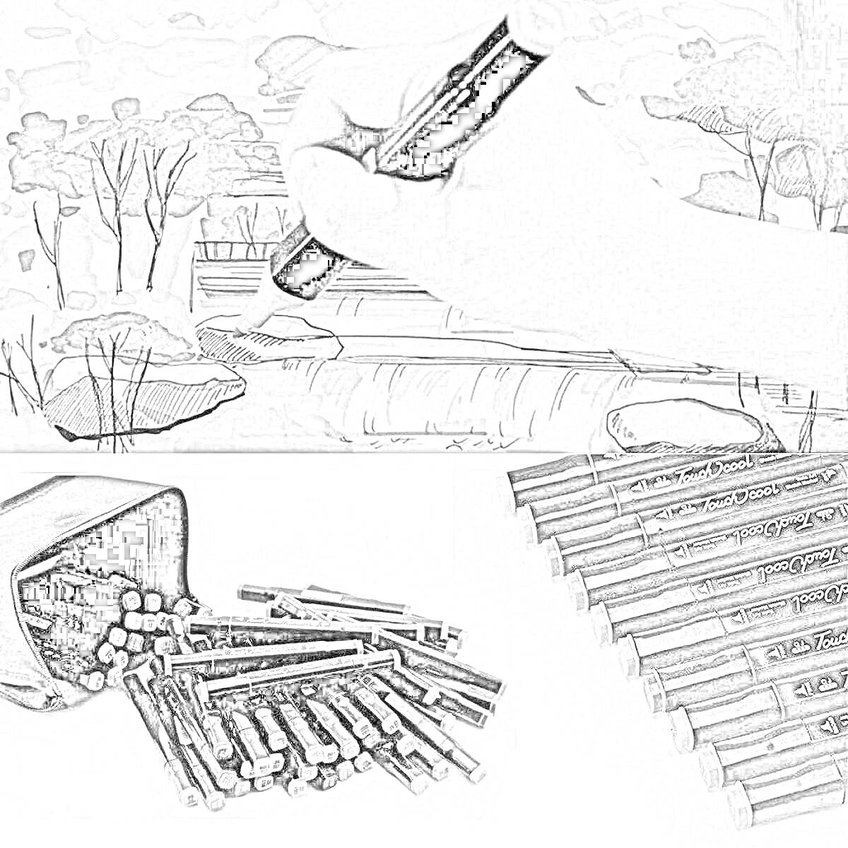 Раскраска Рисунок природы скретч маркерами. Комплект маркеров и рисующая рука