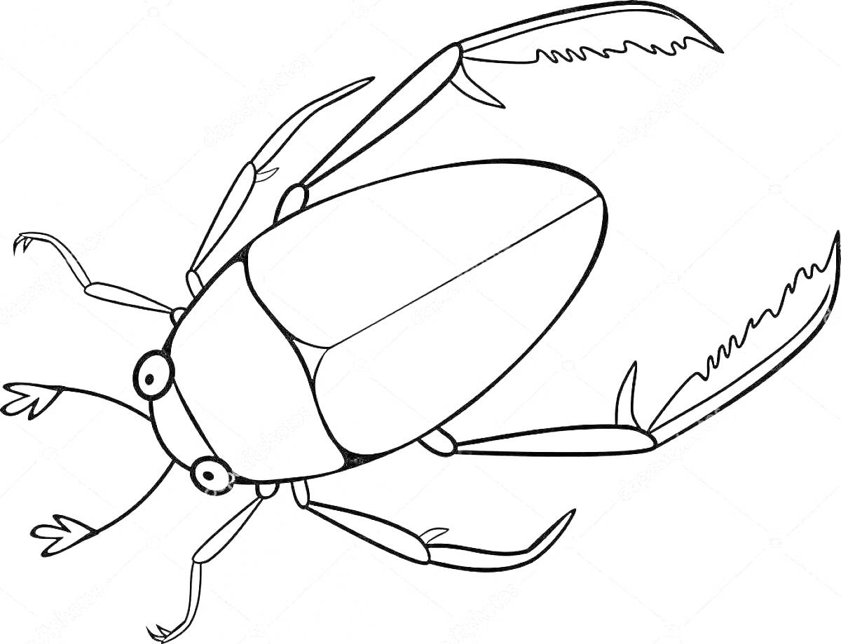 Раскраска Жук с лапками, усиками и крыльями