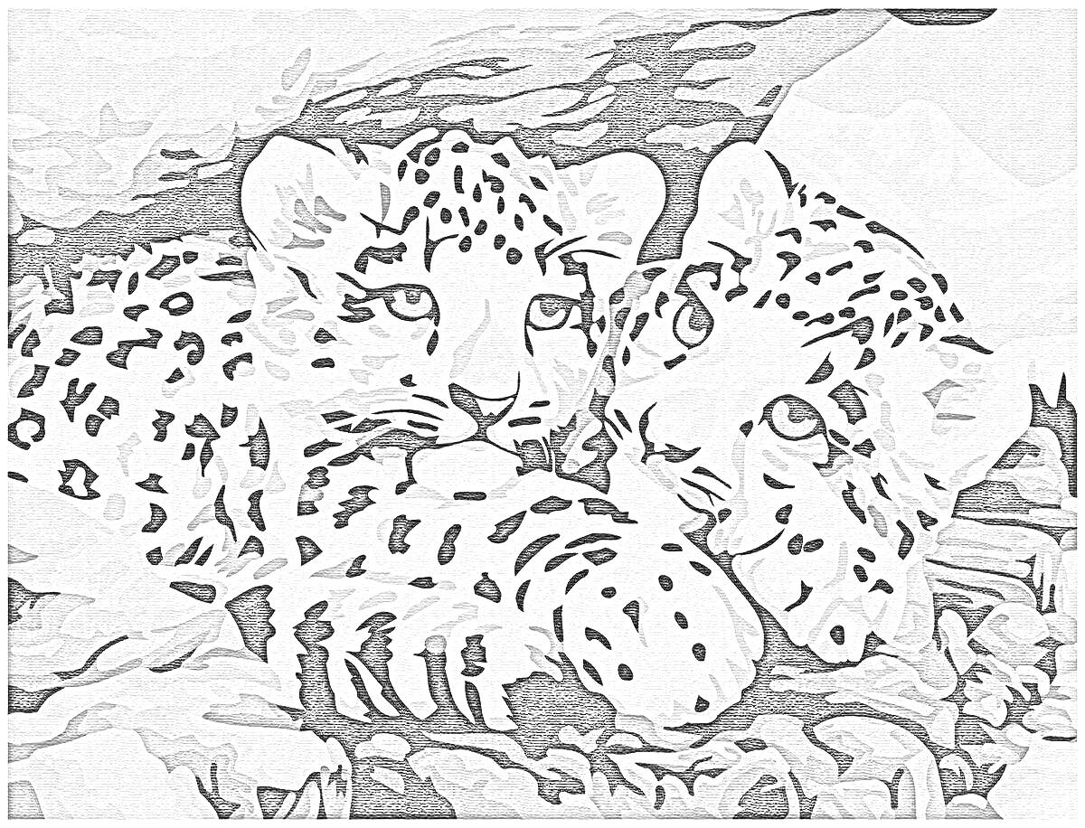 Раскраска Два леопардовых котёнка под камнем