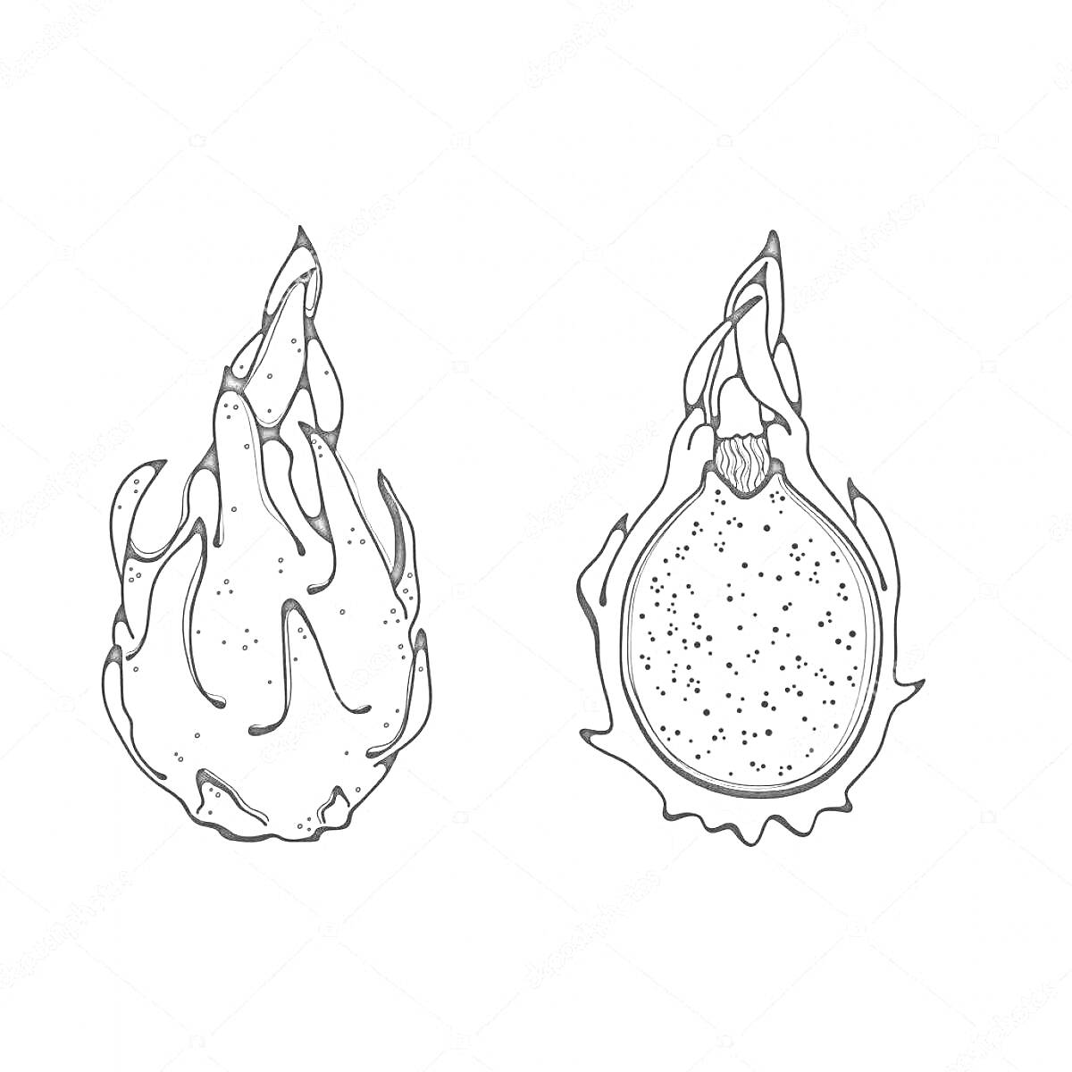 Раскраска Раскраска драконий фрукт — целый и в разрезе