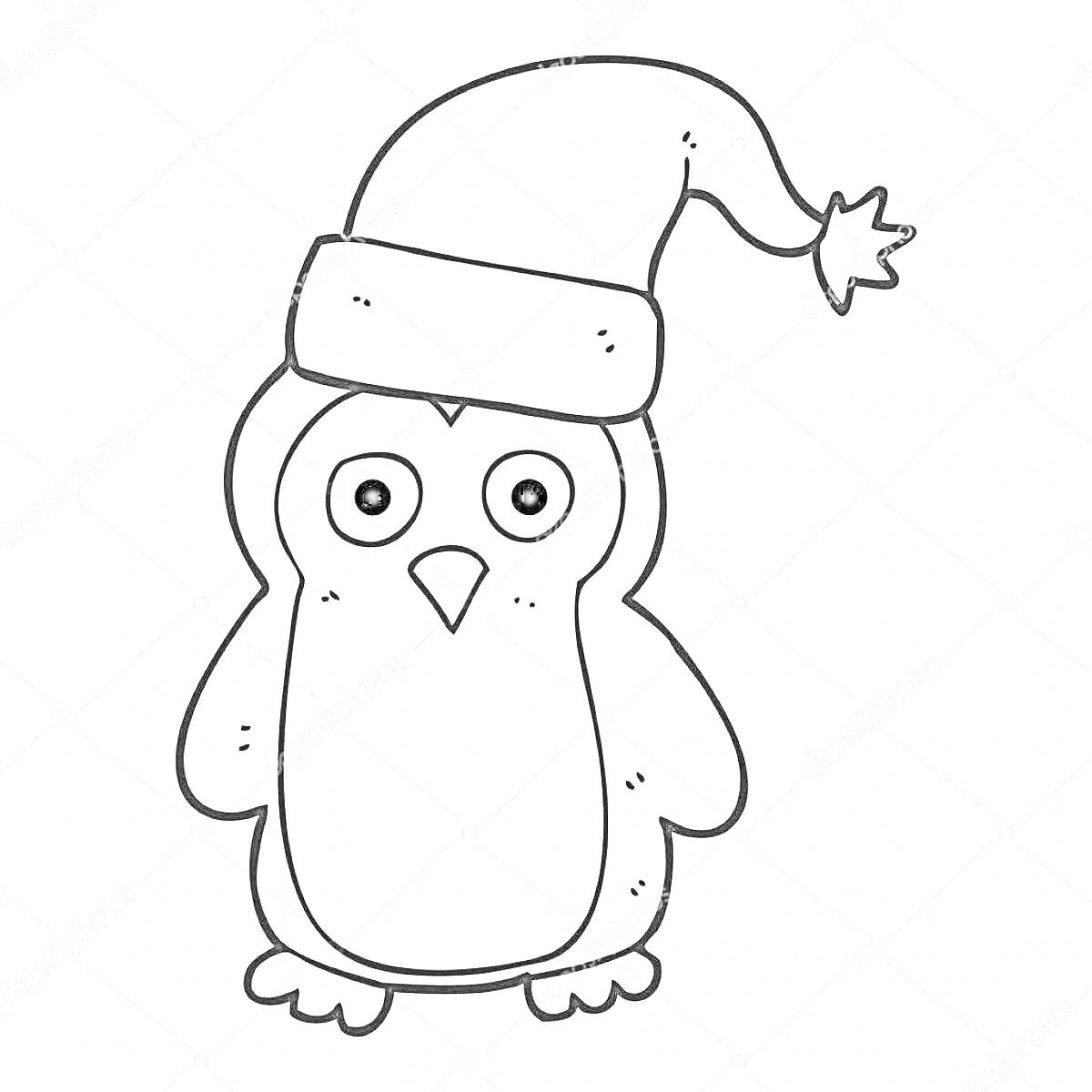Раскраска пингвин в шапке с помпоном