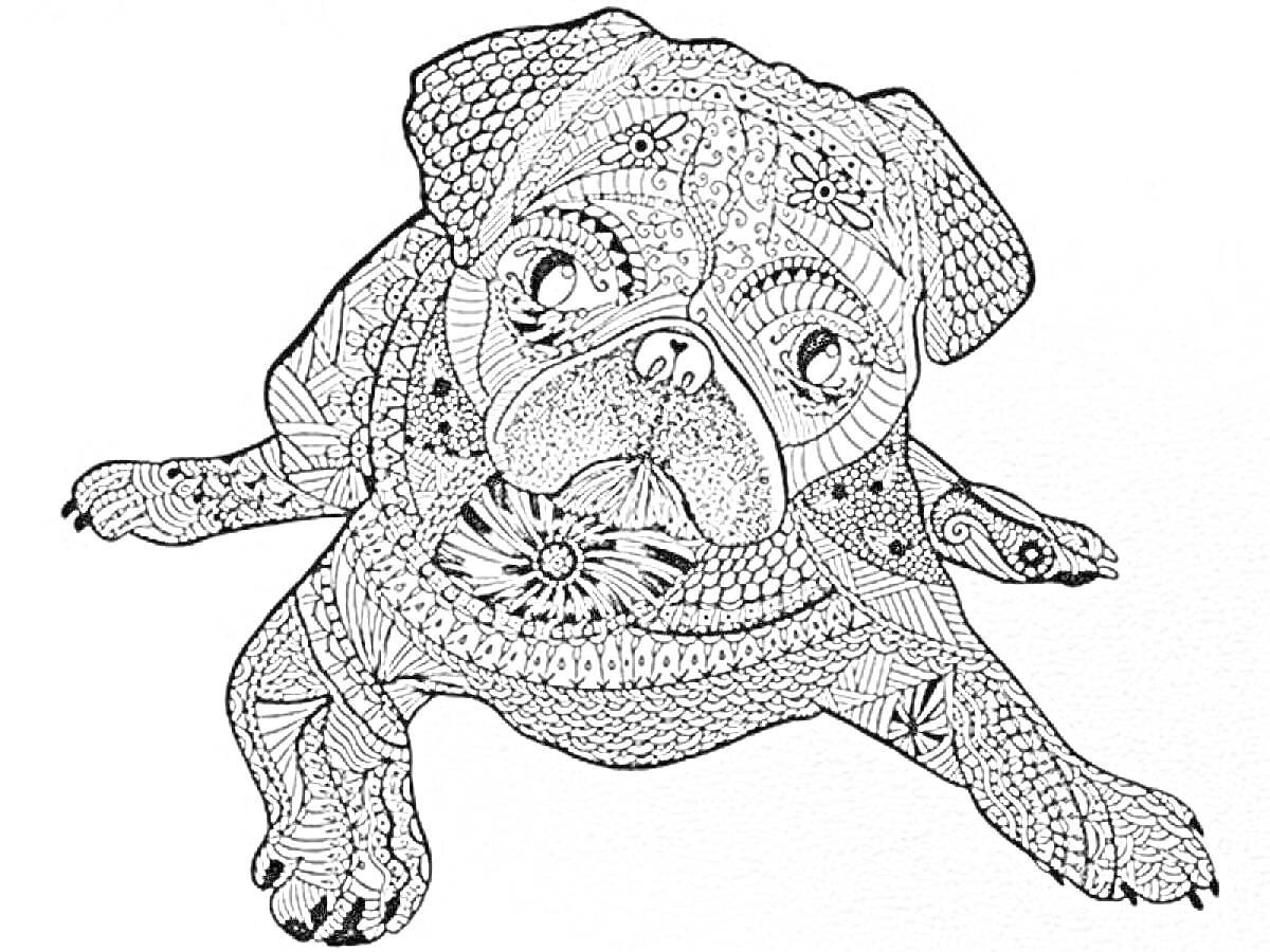 Раскраска антистресс с собакой, украшенная множеством узоров и орнаментов, включая цветы и геометрические элементы.