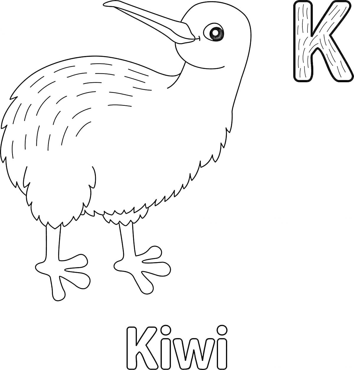 Раскраска птица киви, буква K, надпись Kiwi