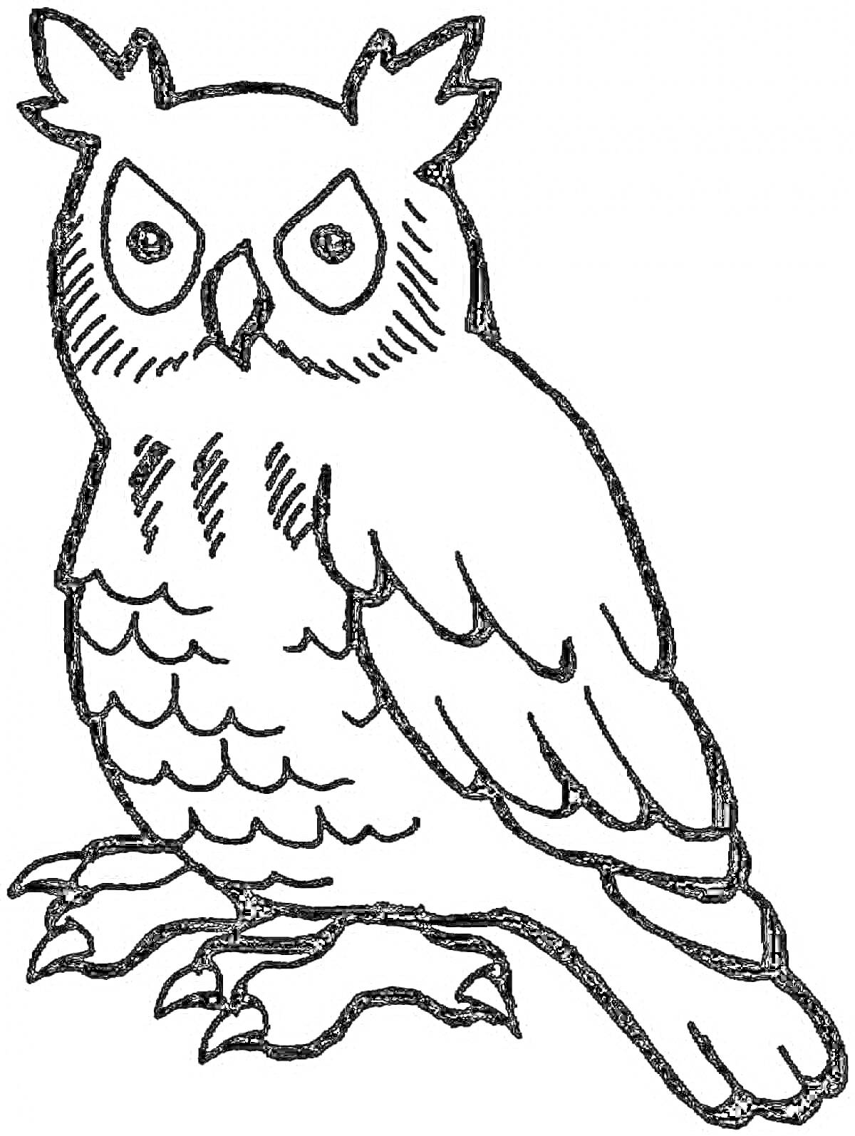 Раскраска Филин с большими глазами, хохолком и перьями, стоящий на лапах
