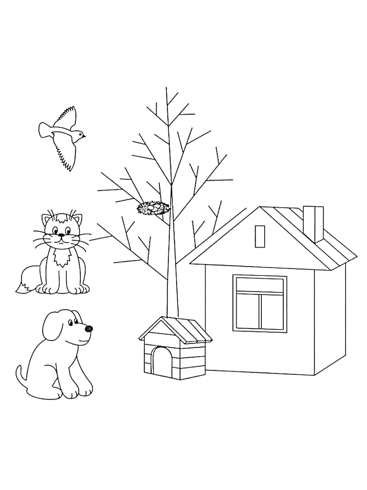 Раскраска Домик, дерево с гнездом, собака, будка, кошка, птица
