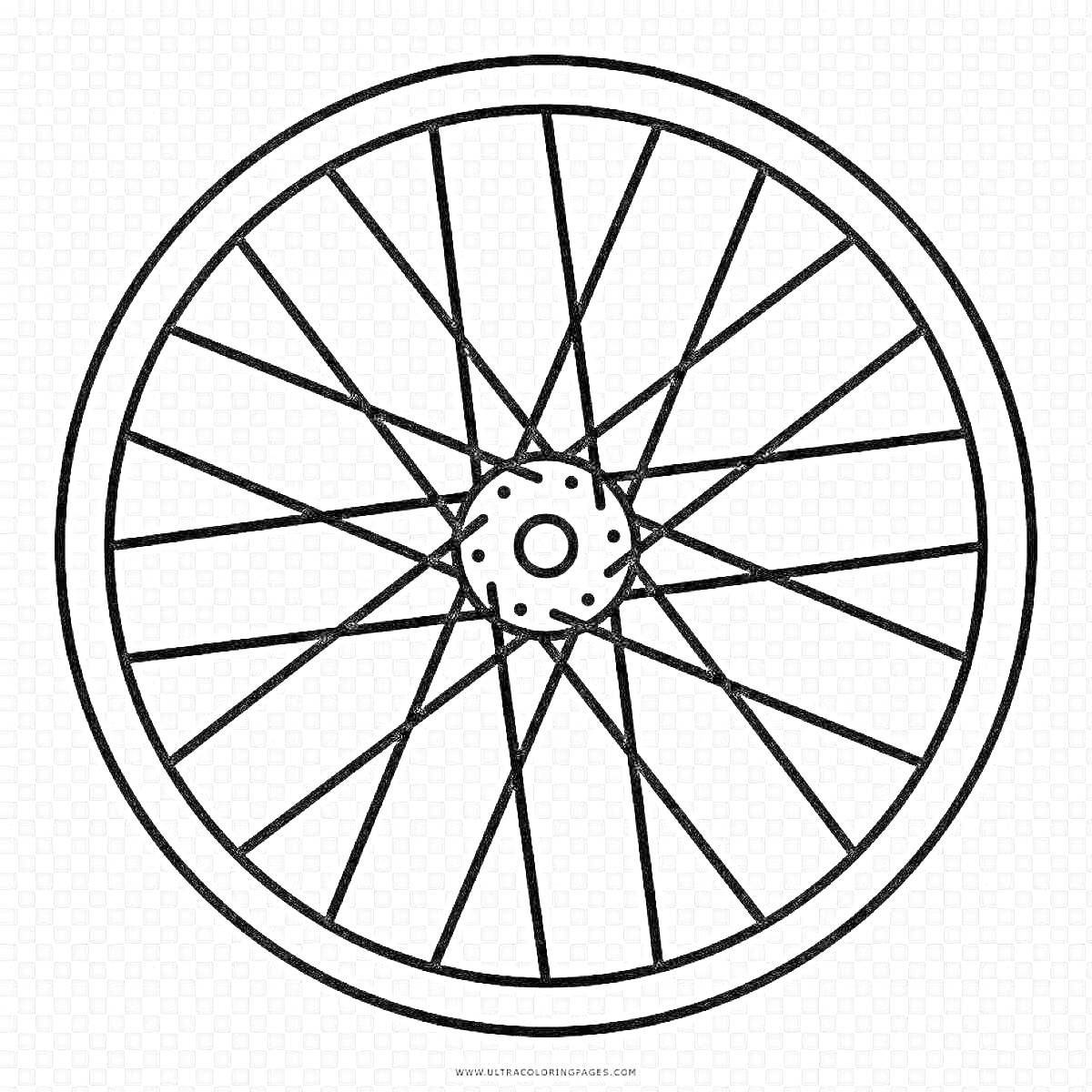 Раскраска Раскраска колеса с несколькими спицами и ступицей