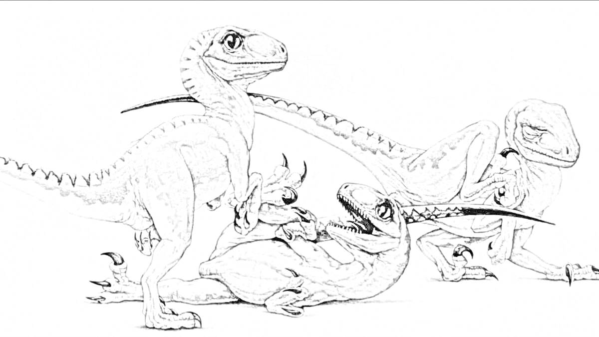 На раскраске изображено: Велоцираптор, Динозавр, Юрский период
