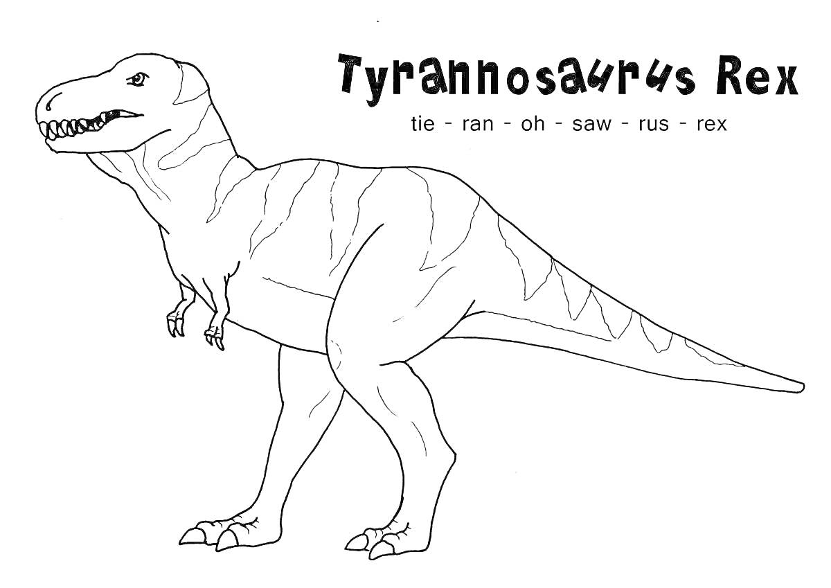 На раскраске изображено: Динозавр, Животные, Доисторическая эпоха, Рептилии, Тираннозавр Рекс