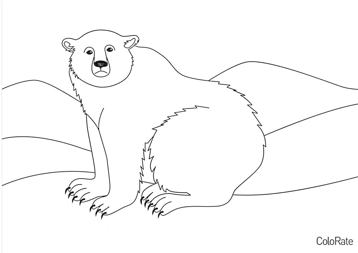 На раскраске изображено: Природа, Дикая природа, Зима, Холод, Арктика, Белый медведь, Полярные медведи