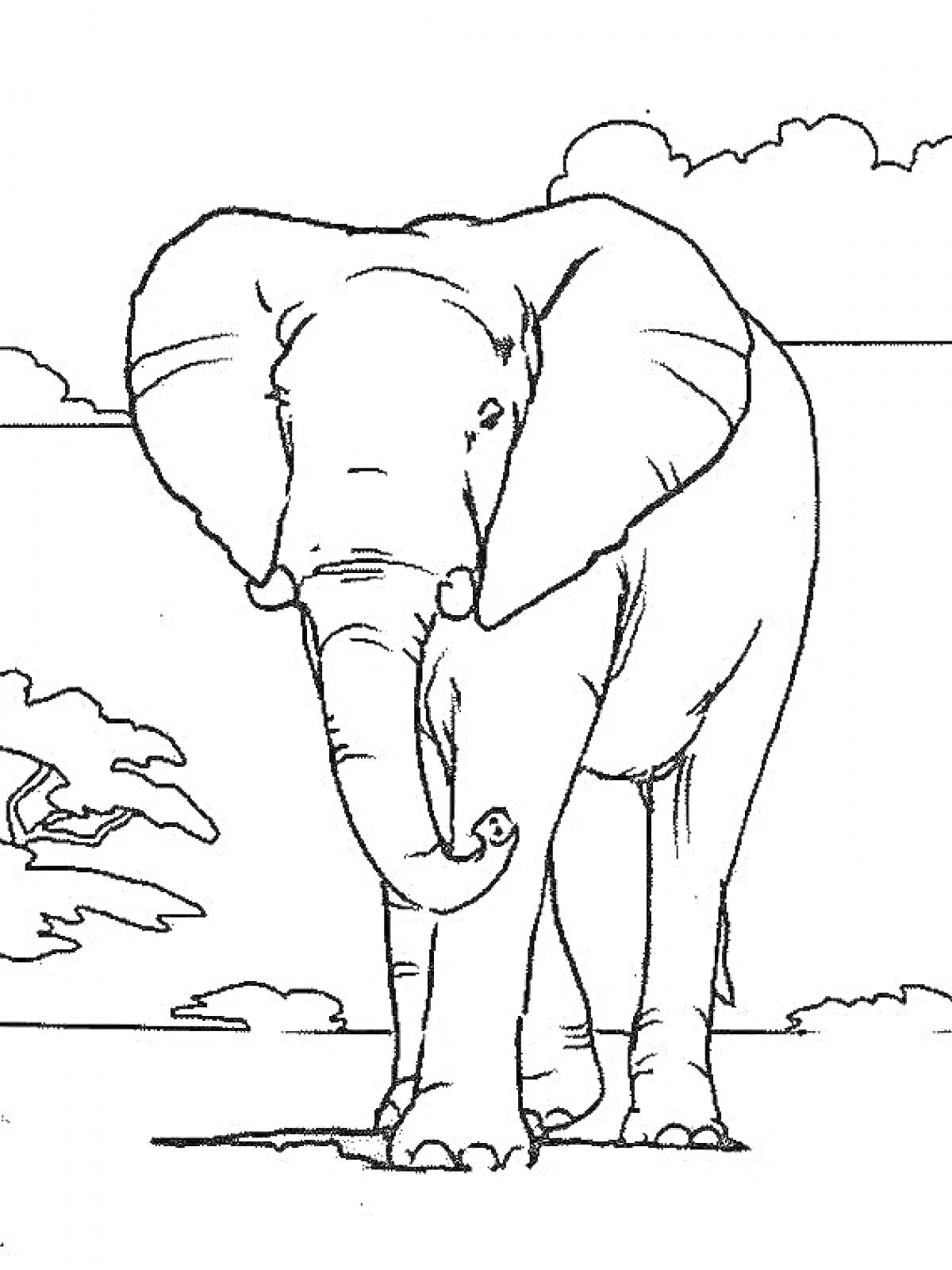 На раскраске изображено: Африканский слон, Животные, Природа, Облака, Саванна, Дикая природа