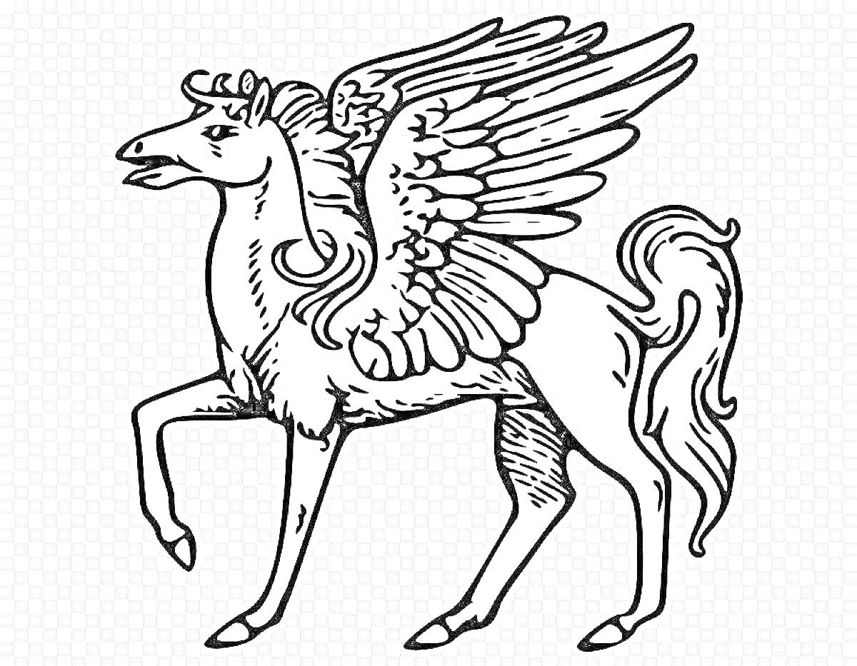 Раскраска крылатый единорог, стоит на задних ногах, с развевающейся гривой и хвостом