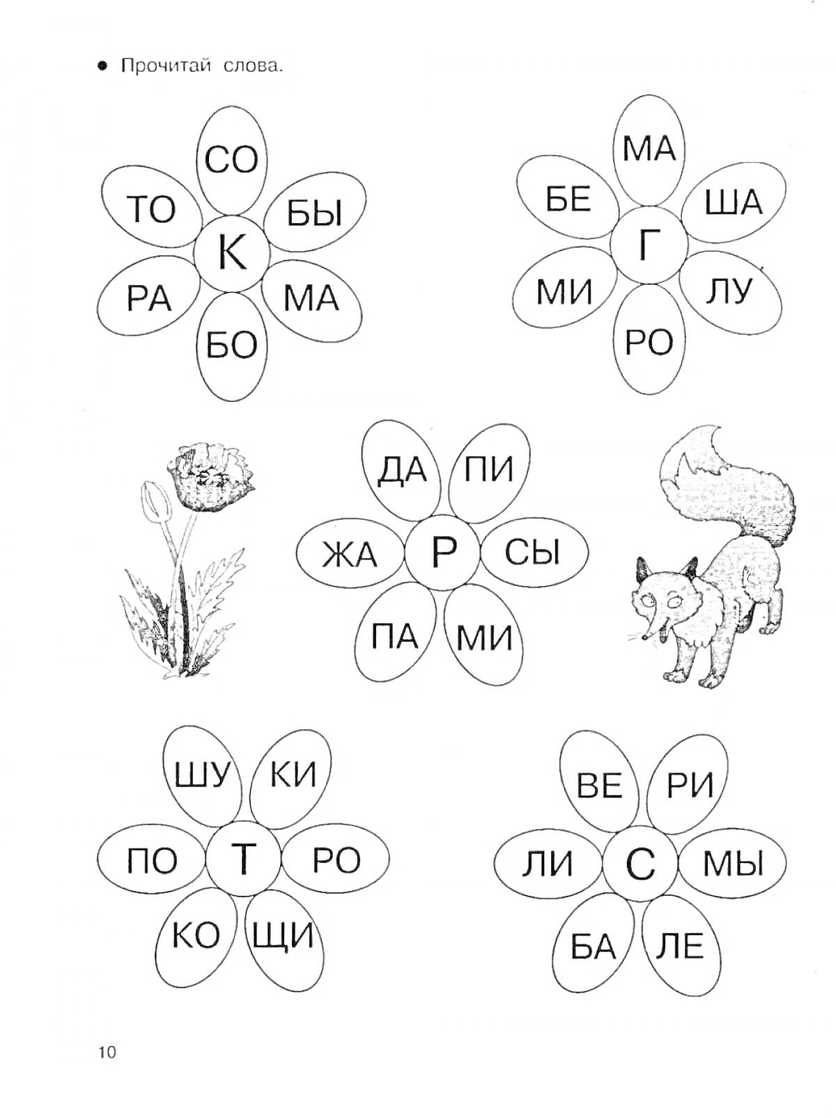 Раскраска Цветы с буквами и словами, белка, цветок, задача 