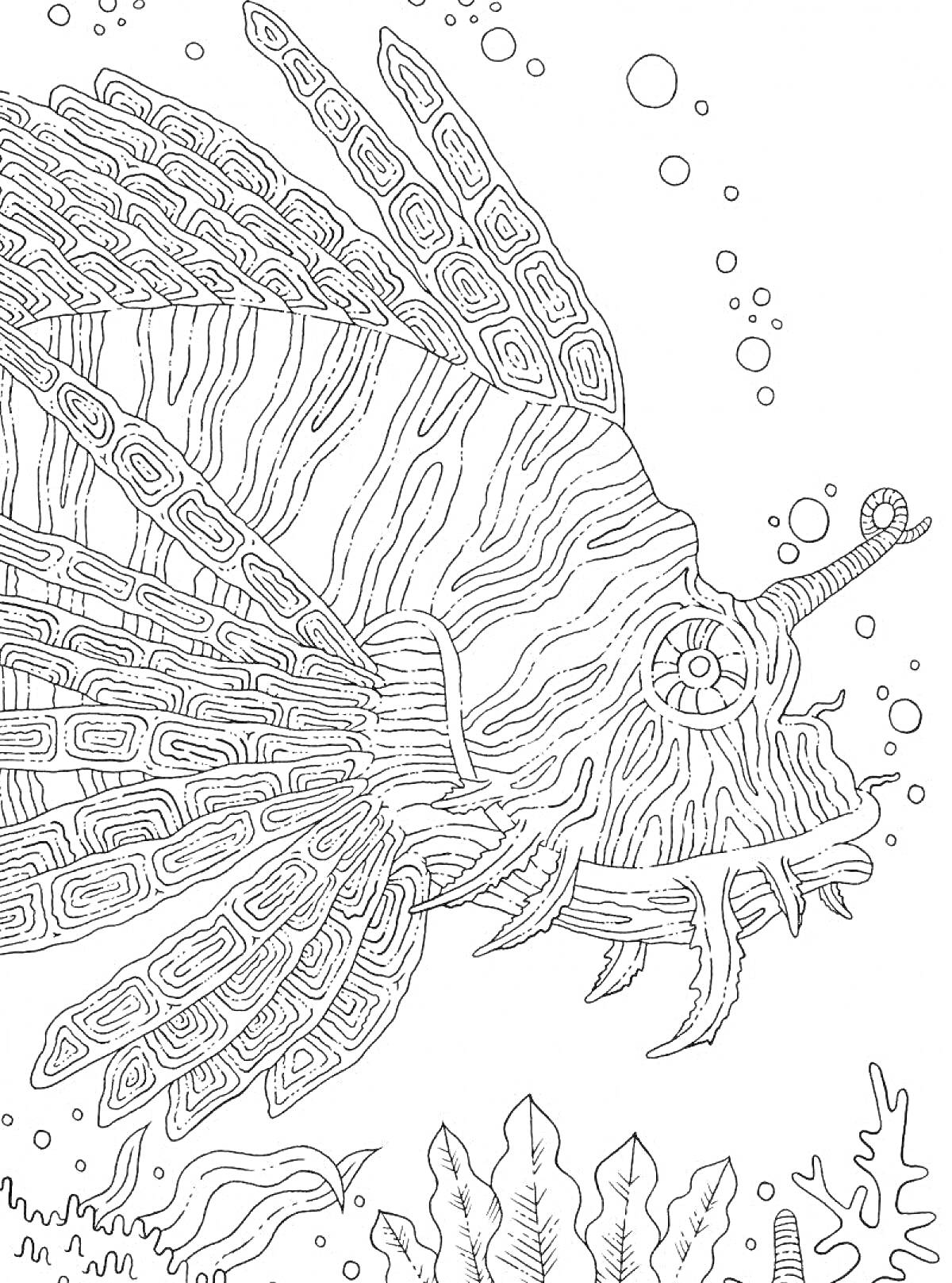 Раскраска Морская рыба среди кораллов и водорослей