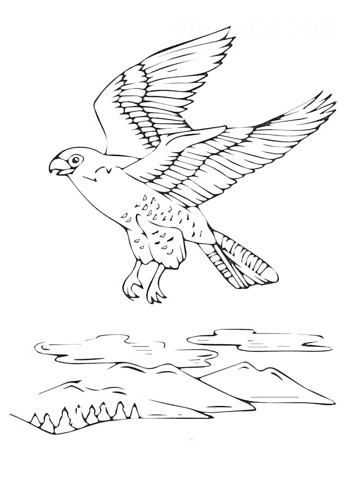 На раскраске изображено: Кречет, Птица, Горы, Облака, Небо, Природа, Полет