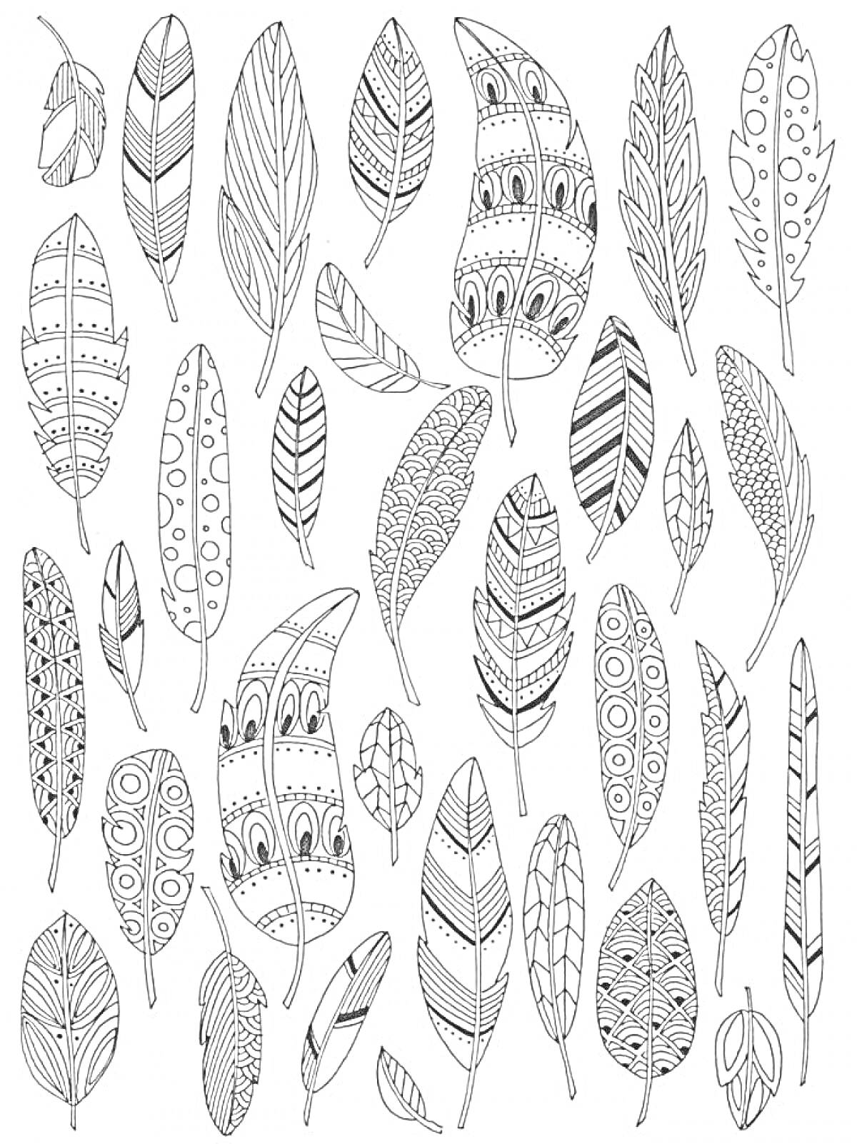 Раскраска с различными перьями с геометрическими и растительными узорами