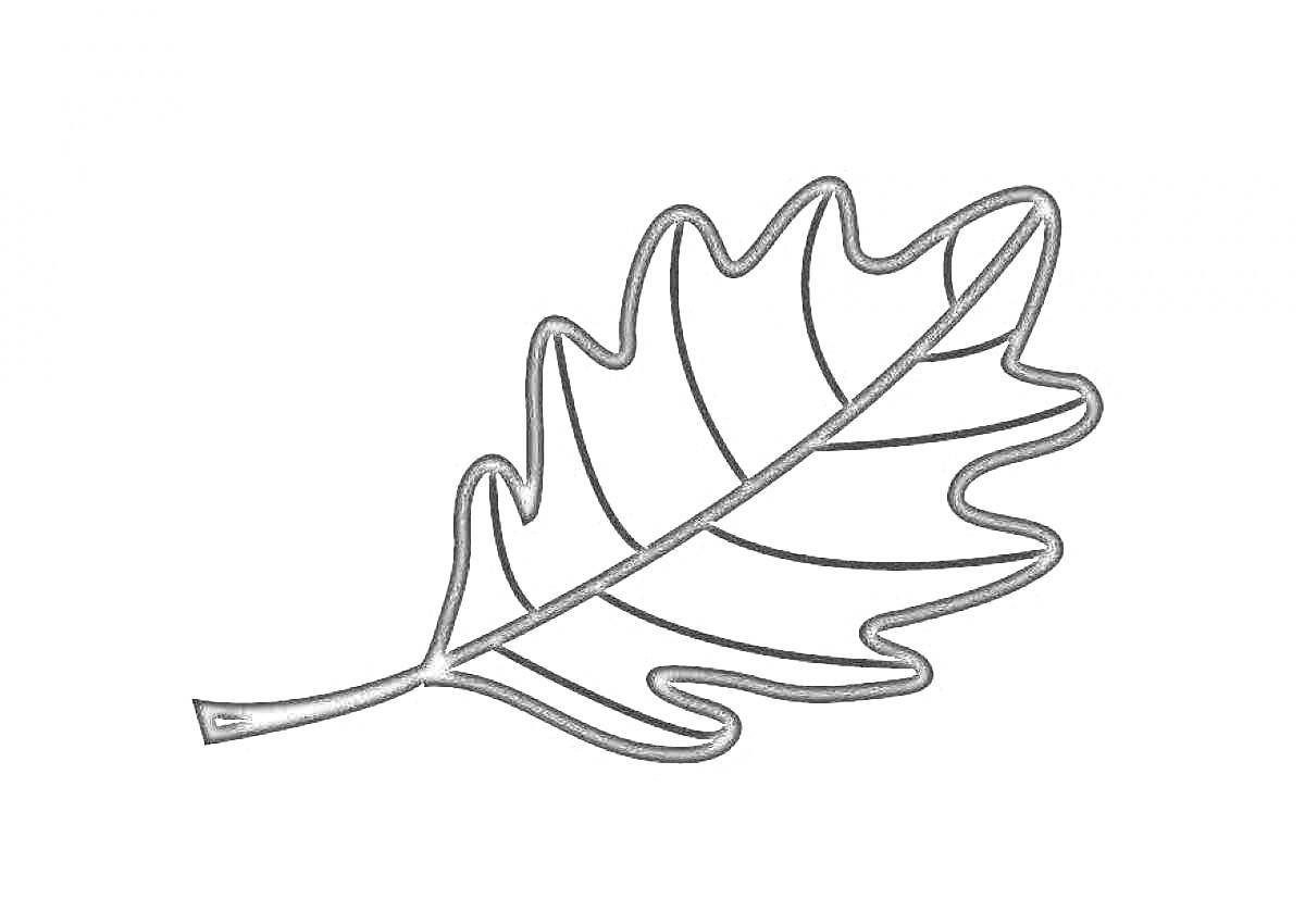 Раскраска Контур дубового листа
